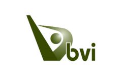 BVI